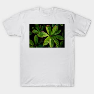 The Palmately Compound Leaf T-Shirt